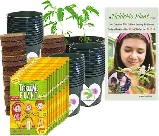 TickleMe Plant Classroom or Homeschool Science Fun Planting Party Kit – for 30 Students – Grow a Sensitive Plant That Reacts to Touch – Includes Activity Book and Seeds for Kids to Plant
