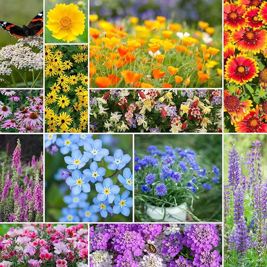 Eden Brothers Deer Resistant Wildflower Mixed Seeds for Planting, 50 lb, 24,000,000+ Seeds with Foxglove, Forget Me Not | Attracts Pollinators, Plant in Spring or Fall, Zones 3, 4, 5, 6, 7, 8, 9, 10