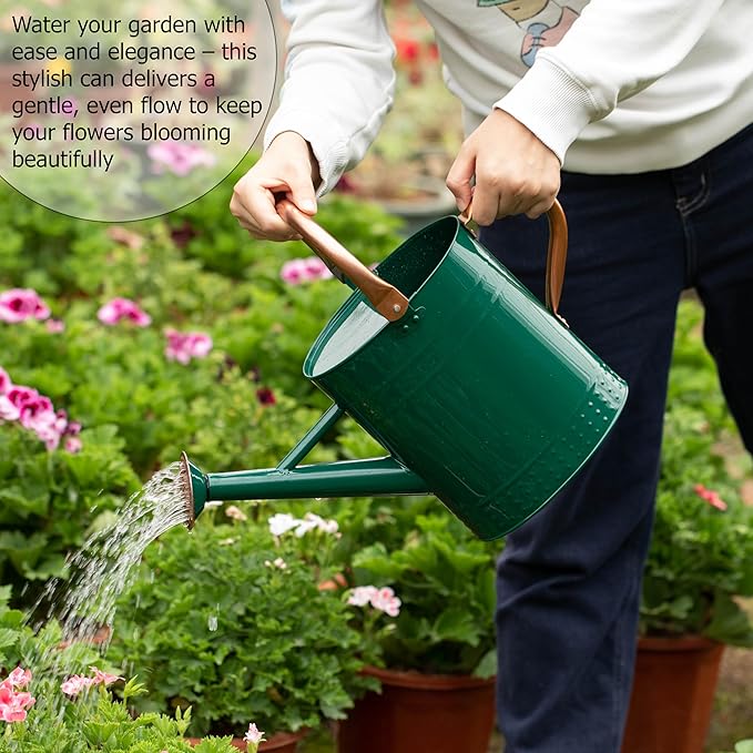 Gardenised 1 Gallon Galvanized Metal Watering Can with Removable Long Spout & Sprinkler Head for Indoor & Outdoor Use Ideal for Garden Flowers Potted Plants Houseplants Modern Home Accessories, Green