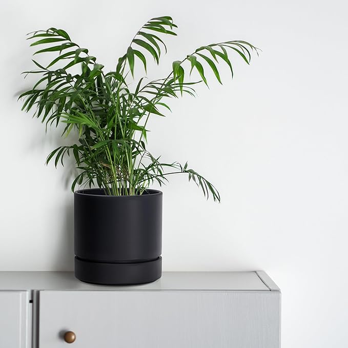 Phoenix Vine 6 Inch Planter Pot with Drainage Hole & Saucer, Deep Water Catch Tray, Straight Cylindrical Round Pot for Plants, Matte Black, Pack of 4, 23-C-S-4