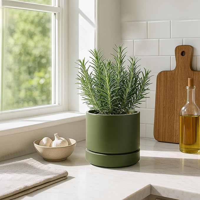 Phoenix Vine 6 Inch Planter Pot with Drainage Hole & Saucer, Deep Water Catch Tray, Straight Cylindrical Round Pot for Plants, Olive, Pack of 1, 23-F-S-1