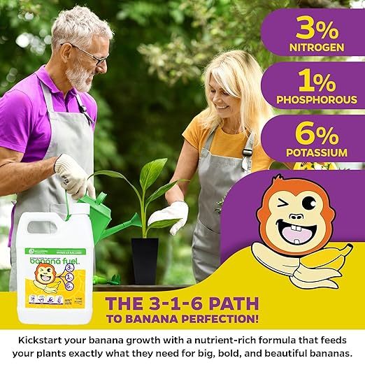 Wellspring Gardens Banana Fuel Liquid Fertilizer - Plant Fertilizer Concentrate - Plant Food - Formula for Banana Trees & Plants - Grow Healthy and Happy Plants - 32 fl oz