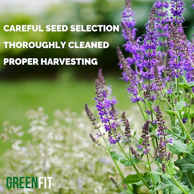 Greenfit Premium Bulk Chia Seeds (10Lbs Bag) | A+ Grade Chia | Nutrient-Packed Superfood | Non-GMO | Gluten-Free Chia Seeds Bulk | Vegan