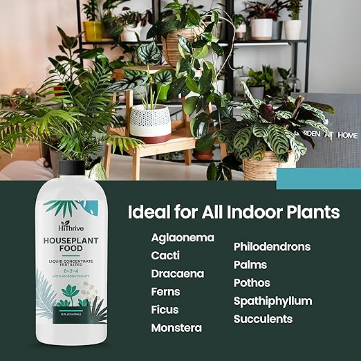 16oz Houseplant Fertilizer, All Purpose Indoor Plant Food - Makes 87+ Gallons, Plant Food for Houseplants - Fiddle Leaf Fig Tree, Pothos & More, 6-2-4 NPK, Concentrated Fertilizer for Indoor Plants