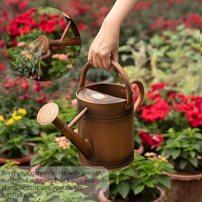Gardenised 1 Gallon Metal Watering Can with Removable Long Spout & Sprinkler Head for Indoor & Outdoor Use Ideal for Garden Flowers Potted Plants Houseplants Modern Decorative Home Accessories, Bronze