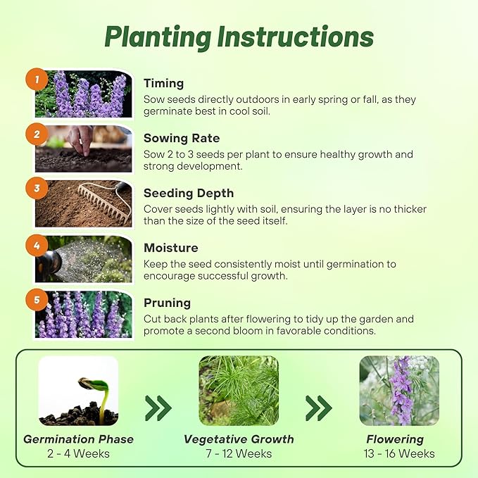 Outsidepride Delphinium Lilac Larkspur Seeds for Planting Outdoors - 2000 Pcs Annual, Self-Seeding, Heat & Drought Tolerant Wildflower Seed, Colorful Blooms for Flower Arrangement & Pollinator Garden