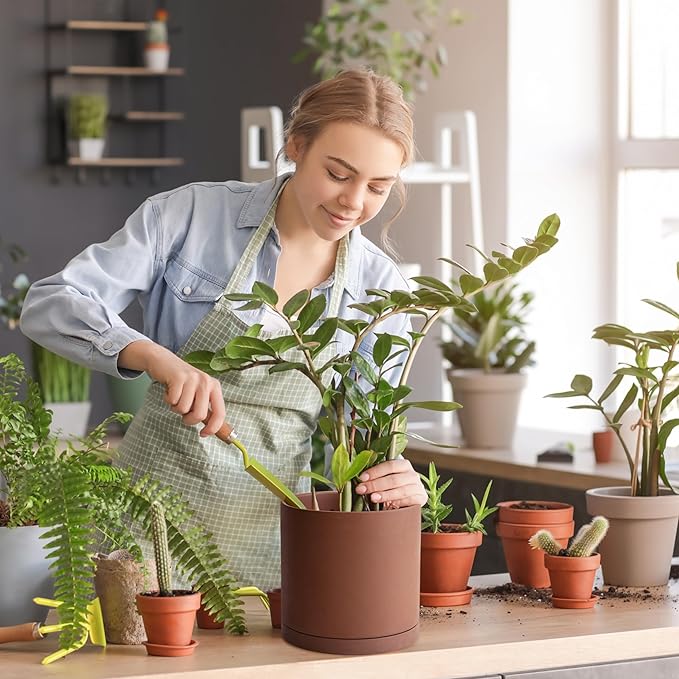 D'vine Dev 6 Inch Rust Terracotta Plant Pot with Drainage Hole and Saucer, Round Cylinder Planter Pot for Indoor Plants, 40-V-C-3