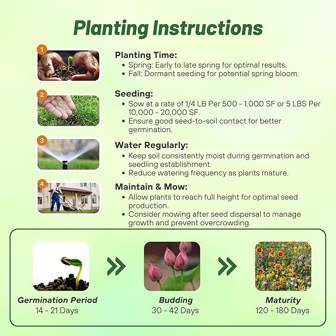 Outsidepride Southwest Wild Flower Seed Mix - 1/4 lb. Heat & Drought Tolerant Premium Blend of Annual & Perennial Wildflower Seeds for Planting on Outdoor Lawns & Gardens from Spring to Fall