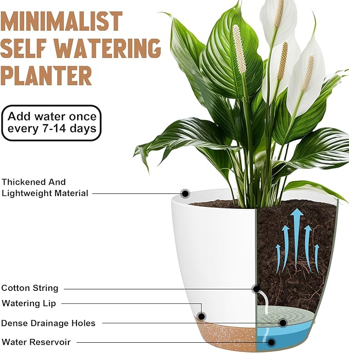 Plant Pots 8/7/6.5/6/5.5/5 Inch Self Watering Pots, Set of 6 Plastic Planters with Drainage Holes and Saucers,Plastic Flower Pots,Nursery Planting Pot for Indoor Out Door Plants（White）
