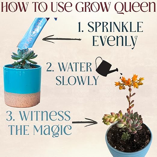 All-In-One Organic Succulent Fertilizer, Cactus Fertilizer, Succulent Plant Food, Bonsai & Cactus Food, 3 lb bag = 75 Single Servings, Fast & Slow Release feeds up to 300 plants for 8months