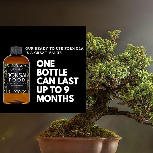 Lush Leaf | Plant Food (Bonsai)