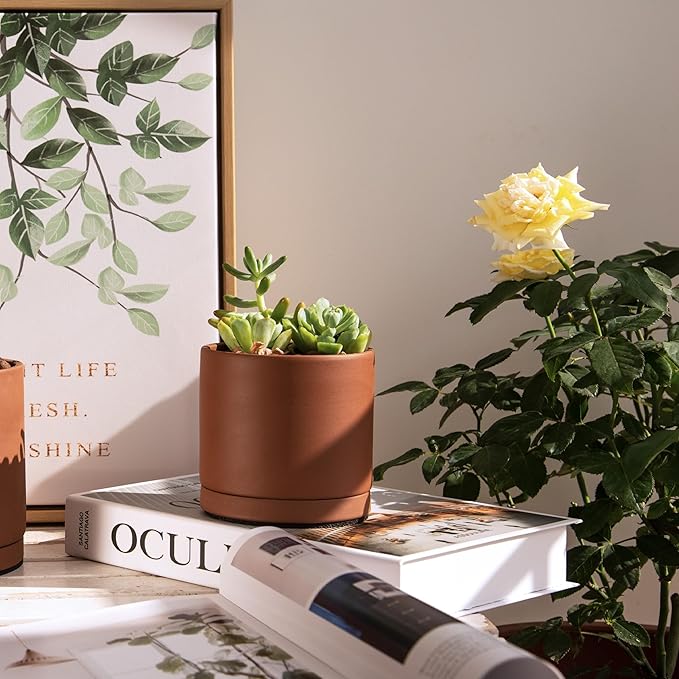 D'vine Dev 4 Inch Rust Terracotta Plant Pot with Drainage Hole and Saucer, Round Cylinder Planter Pot for Indoor Plants, 40-V-A-3