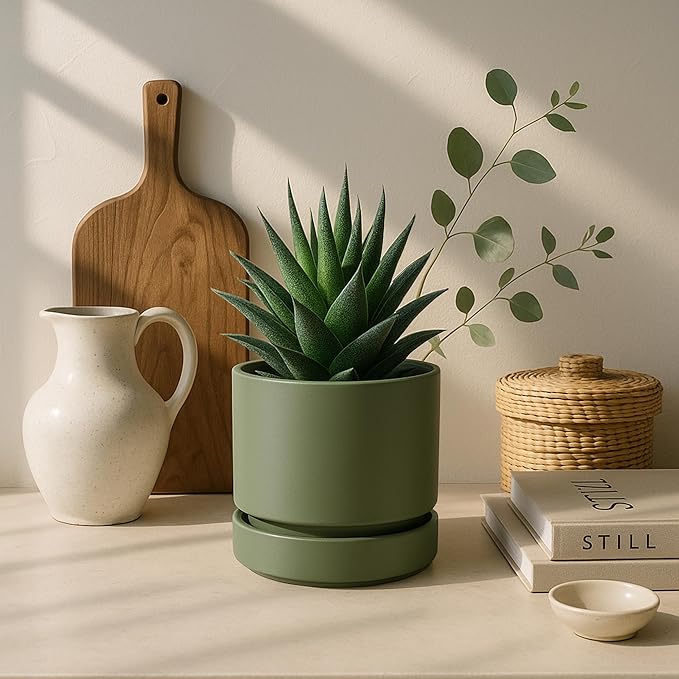 Phoenix Vine 4 Inch Planter Pot with Drainage Hole & Saucer, Deep Water Catch Tray, Straight Cylindrical Round Pot for Plants, Olive, Pack of 6, 23-F-R-6