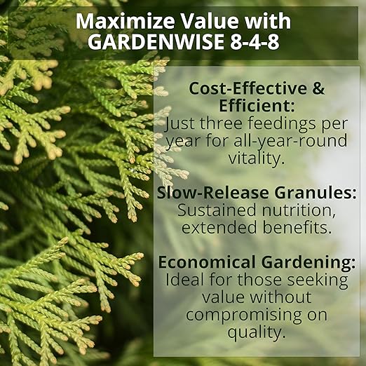 8-4-8 Acidic Fertilizer for Azaleas, Camellias (Camelia), Hydrangeas, Blueberries, Gardenias, Magnolia Trees, Evergreens, and Rhododendrons - Ideal Iron-Rich Plant Food (12 OZ)