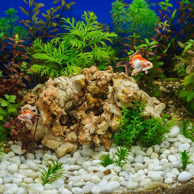 5lbs White Pebbles for Indoor Plants, 0.8-1.2 Inch Smooth White River Rocks for Potted Plants, Decorative Polished Stones for Landscaping Vase Fish Tank and Outdoor Garden Pavers