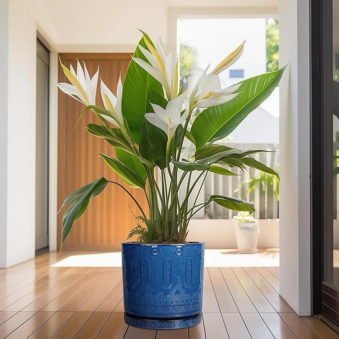 Plant Saucer 9.3 Inch - Ceramic Plant Saucer for Indoors Outdoors Plant Water Catcher Tray Plant Drainage Tray Decorative Flower Pot Saucer Plant Plates Blue