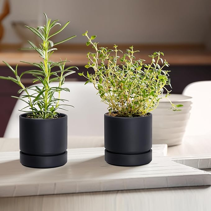 Phoenix Vine 4 Inch Planter Pot with Drainage Hole & Saucer, Deep Water Catch Tray, Straight Cylindrical Round Pot for Plants, Matte Black, Pack of 2, 23-C-R-2