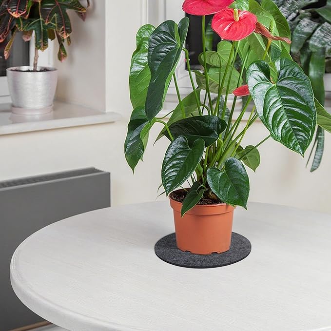Felt Plant Coasters, 4 Sizes Extra Thick 4/6/8/10 Inch Planter Coaster, Absorbent Plant Mats, Trivets for Hot Dishes, Plant Coasters for House Plants, 16 Pcs