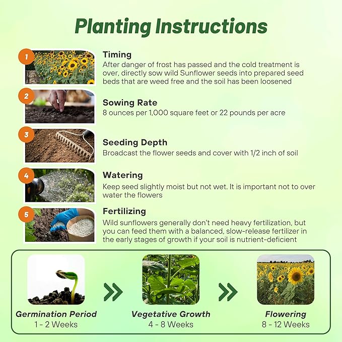 Outsidepride Wild Sunflower Seeds for Planting - 1/4 lb. Annual, Easy to Grow Flower Seeds w/Vibrant, Abundant Blooms for Cut Flower Arrangements & Pollinator & Vegetable Gardens