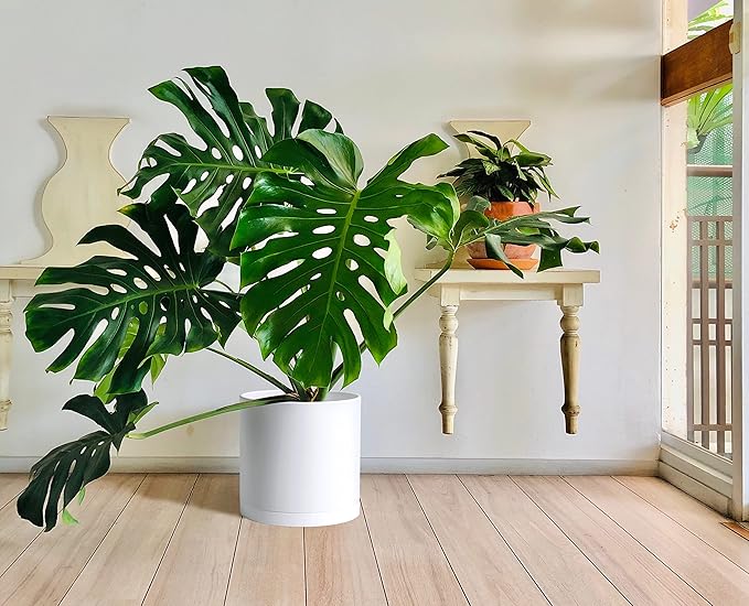 D'vine Dev 14 Inch White Plastic Planter Pots for Plant Pot with Drainage Hole and Seamless Saucers, 74-X-A-4