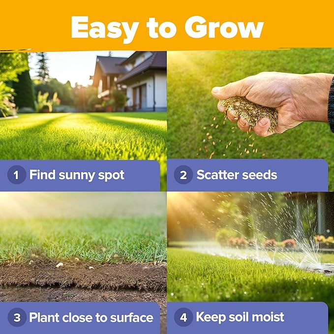 HOME GROWN 𝗨𝗦𝗔 𝗣𝗥𝗘𝗠𝗜𝗨𝗠 Wildflower Seeds - 44,000 Non GMO USA Perennial Seeds (2oz) 19 Varieties for Butterfly & Pollinator Garden - Wild Flower Seed Mix for Full Sun & Shade