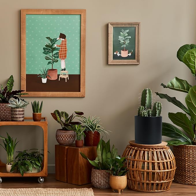 D'vine Dev 2 Pack 8 Inch Modern Plastic Plant Pots, Small Garden Planters for Plant with Drainage Holes and Saucers, Black Color, 74-Y-M-1