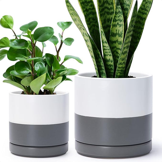 D'vine Dev 6.5 Inch & 8.2 Inch Ceramic Planter Pots for Plants with Drainage Hole and Saucer, Medium Plant Pots Set, White/Speckled Grey, 94-G-M-6