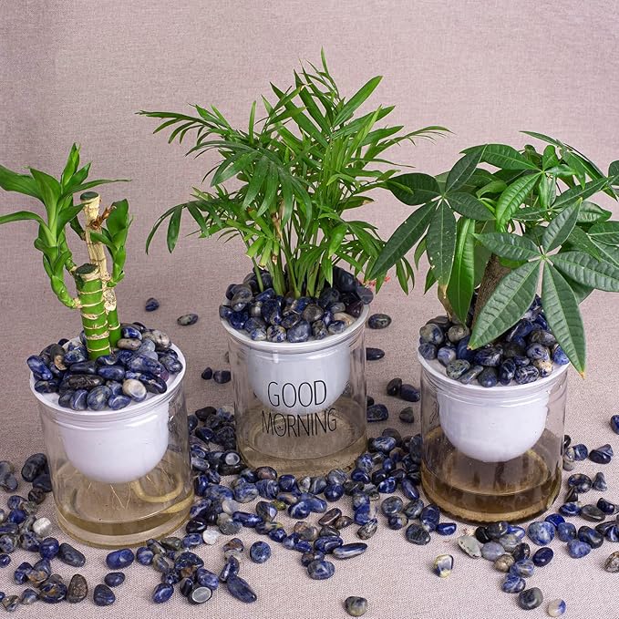 Polished Sodalite Crystals - 72 Pcs, 0.5" 10 oz Handpicked Natural Tumbled Gemstones Rocks, Pebbles for Reiki, Chakra, Healing Home Decor