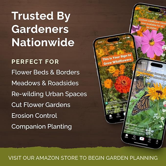 Eden Brothers Zinnia Seeds - Candy Stripe Mixed, Non-GMO Seeds for Planting, Packet | Low-Maintenance Flower Seeds, Plant During Spring, Zones 3, 4, 5, 6, 7, 8, 9, 10