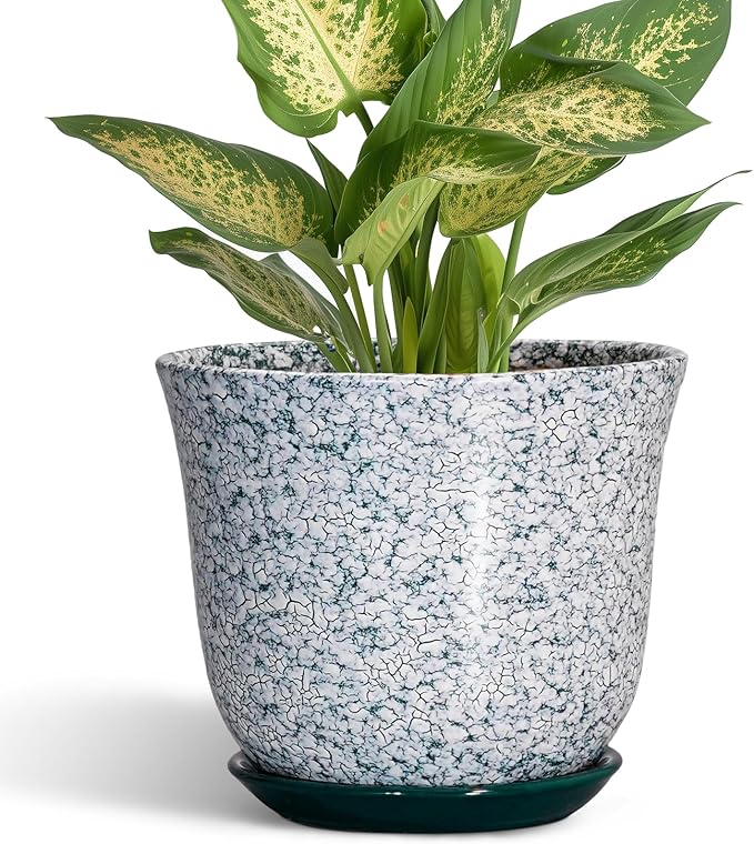5.6 Inch Plant Pot - Ceramic Plant Pots for Indoor Outdoor, Round Orchid Succulent Pots with Drainage Hole and Saucer, Modern Flower Pot, Home Office Decor, Green-White