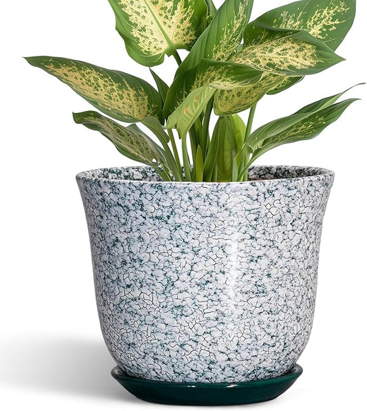 5.6 Inch Plant Pot - Ceramic Plant Pots for Indoor Outdoor, Round Orchid Succulent Pots with Drainage Hole and Saucer, Modern Flower Pot, Home Office Decor, Green-White