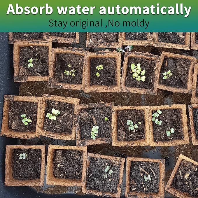 320Cells Seedling Start Trays,20 Pack Peat Pots Seedling Pots Biodegradable,Seedling Starter Kit,Organic Germination Plant Starter Trays