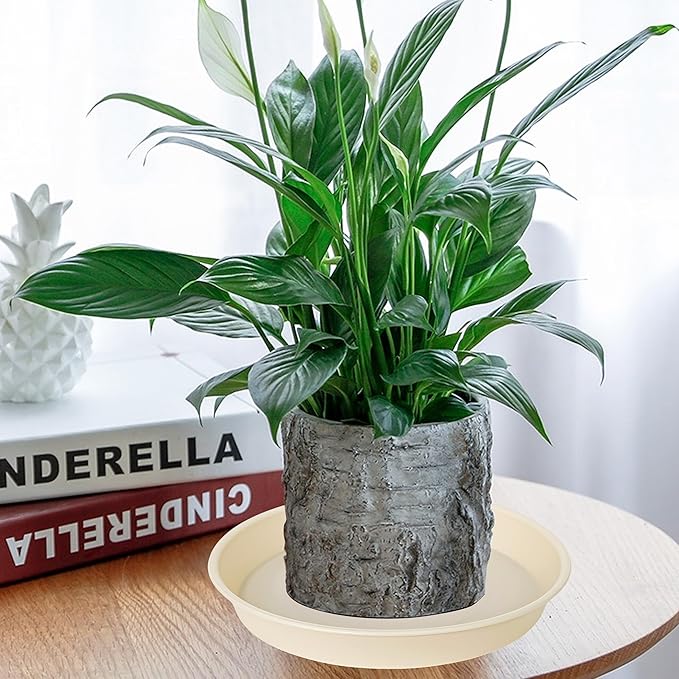 6 Pack of 8 inch Plant Saucer Blue, Plastic Plant Water Tray 8 inch Round, Flower Plant Saucers for Indoors, Dlant Dishes Saucer for Planter 7"/8" (8", Beige)