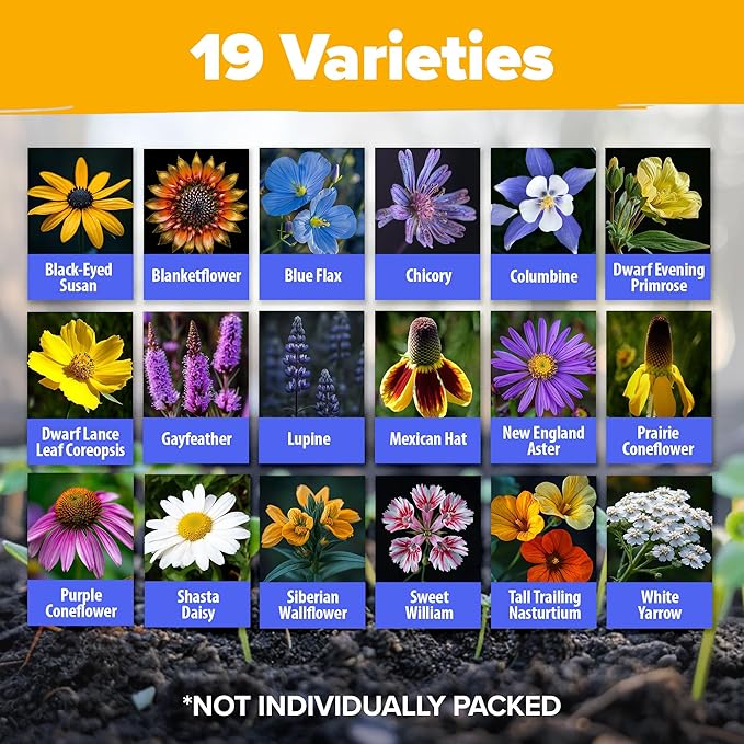 HOME GROWN 𝗨𝗦𝗔 𝗣𝗥𝗘𝗠𝗜𝗨𝗠 Wildflower Seeds Bulk 4 oz 63,200+ Seeds 19 Varieties Non-GMO Perennial Mix, Butterfly & Pollinator Flower Seeds, Attract Bees, Birds & Hummingbirds, Outdoor Planting