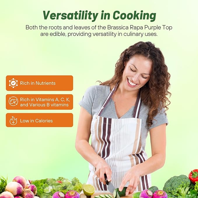 Outsidepride Purple Top Turnip Seeds - 10 Lbs High-Yield, High Protein Turnip Seed, Ideal Cover Crop, for Forage, Grazing Livestock, High Energy Deer Food Plot & Soil Improvement