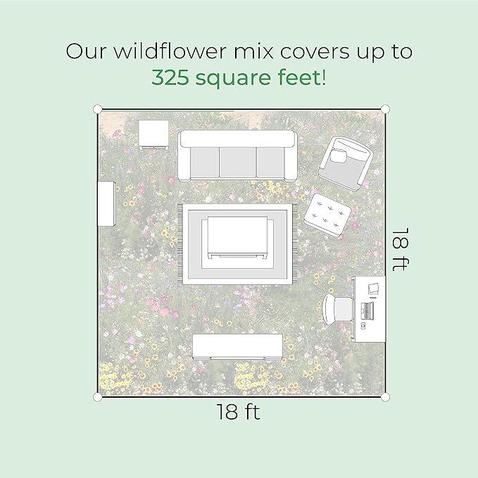 New Mexico Wildflower Seed Mix, Covers 325 Sq Ft, 14 Flower Varieties, Over 30,000 Seeds, Created By Nature