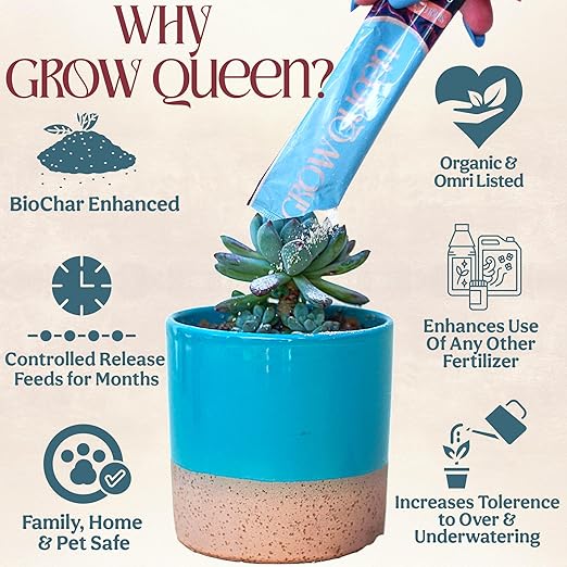 Complete Organic Cactus & Succulent Fertilizer, Succulent Plant Food & Cactus Food, Bonsai, Snake Plant Fertilizer, 11 Servings Fast & Slow Release Feeds up to 44 Plants 8 Months