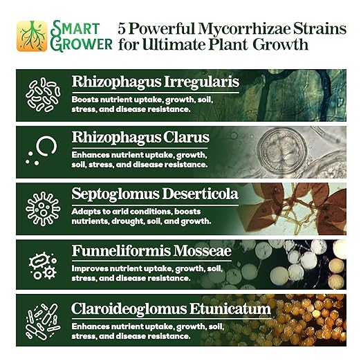 Mycorrhizal Fungi Organic Root Enhancer for Plants, Super Potent 100 Spores Per Gram, 5-Strain Blend, Rapid Results for Gardens, Houseplants, Lawns, Mycorrhizae Smart Grower 500 Grams for 500 Plants