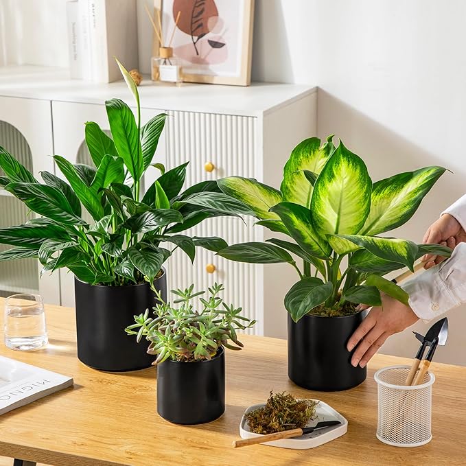 vancasso Ceramic Plant Pots, 4.25+5.25+6.25 Inch Planter Pot with Drainage Hole, Flower Pots for Indoor Outdoor Plants, Set of 3, Black