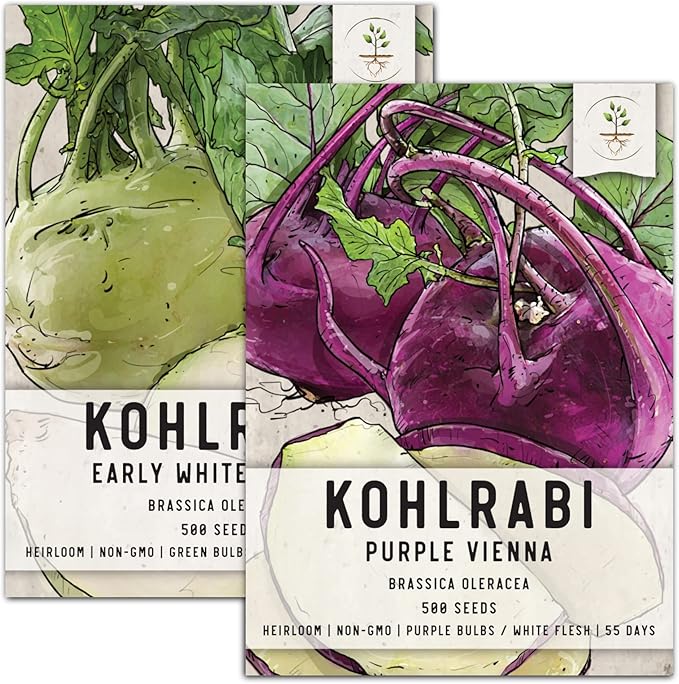 Seed Needs, Kohlrabi Seed Packet Collection (Purple/White, 2 Individual Varieties for Planting) Heirloom, Non-GMO & Untreated
