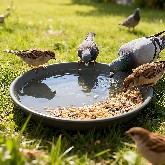 TITE Plant Saucer Heavy Large Planter Durable Thicker Plastic Plant Trays for Indoors and Outdoor,Plant Saucer Drip Trays (Grey, 10 inch)