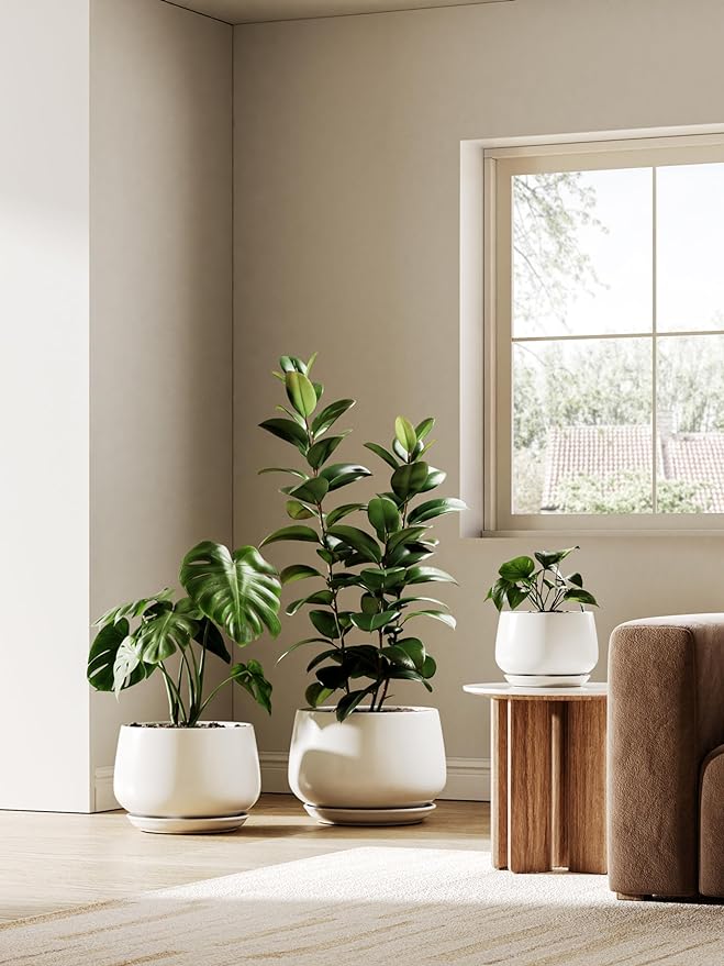LE TAUCI Ceramic Plant Pots, Set of 2, 10 + 12 Inch Plant Pot, Elegant Planters for Indoor Plants, Sturdy Planter with Drainage Hole and Saucers, Perfect for Home Decor, White