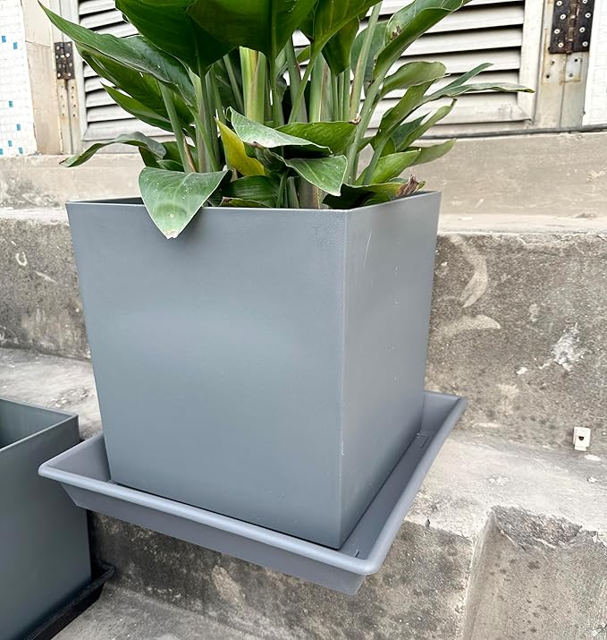 Square Plant Saucer 6 Inch 5 Pack6 8 12 14 16 18 20 Plastic Plant Saucers for Indoors Outdoors, Flower Pot No Holes Plant Drip Trays, Plant Trays for Pots Heavy Duty