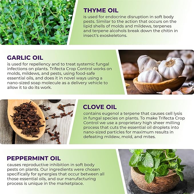 Trifecta Crop Control Insecticidal Soap for Plants | All Natural Fungicide for Plants | Spider Mite Killer Indoor Plants, Food Safe Commercial Grade Pesticide, Herbicide, Spider Mites Spray for Plants