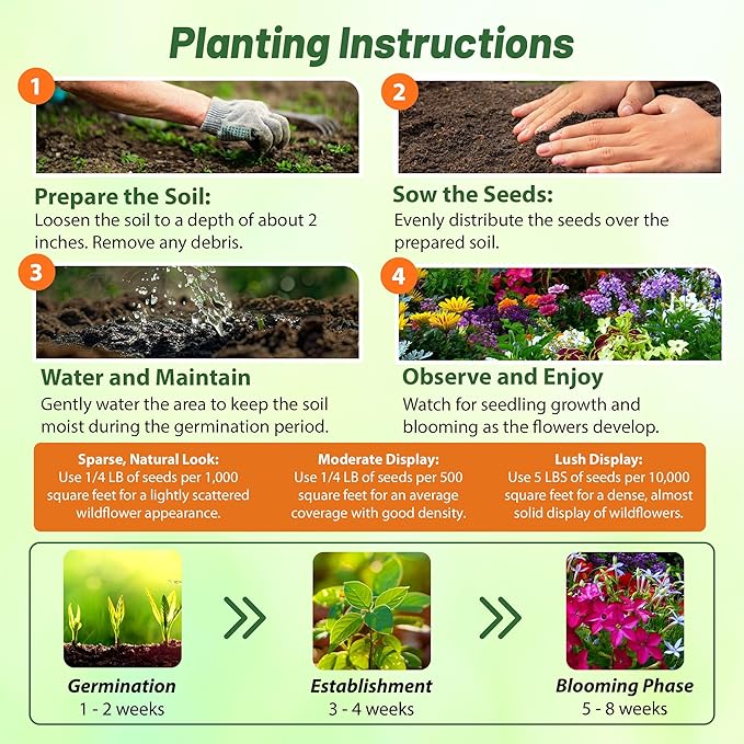 Outsidepride Birds & Butterfly Wild Flower Seed Mix - 1/4 Lb. Premium Blend of Annual & Perennial Wildflower Seeds for Attracting Songbirds, Hummingbirds, & Butterflies