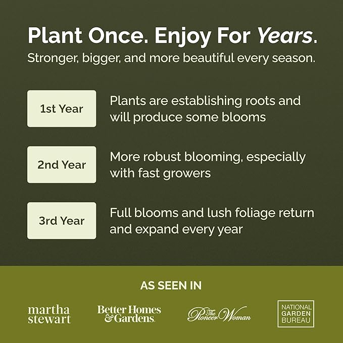 Eden Brothers All Perennial Wildflower Mixed Seeds for Planting, 1/4 lb, 120,000+ Seeds with Lupine, Shasta Daisy | Attracts Pollinators, Plant in Spring or Fall, Zones 3, 4, 5, 6, 7, 8, 9, 10