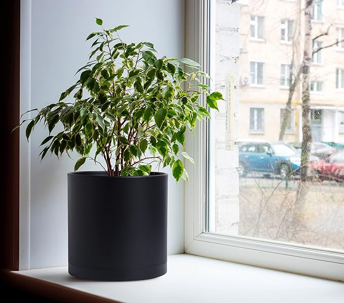 D'vine Dev 2 Pack 10 Inch Modern Plastic Plant Pots, Small Garden Planters for Plant with Drainage Holes and Saucers, Black Color, 74-Y-N-1