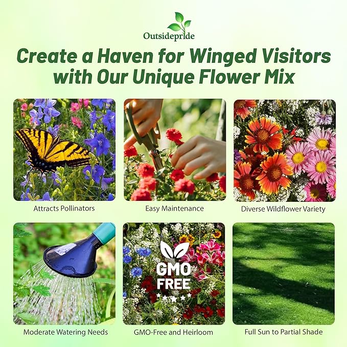 Outsidepride Birds & Butterfly Wild Flower Seed Mix - 1 Lb. Premium Blend of Annual & Perennial Wildflower Seeds for Attracting Songbirds, Hummingbirds, & Butterflies