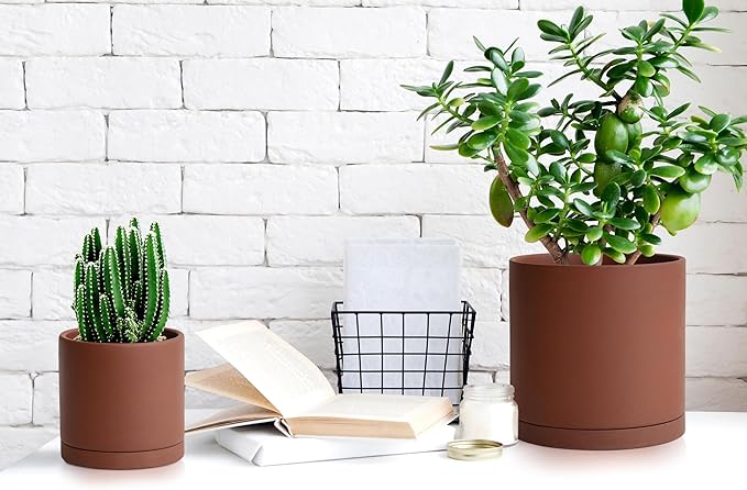 D'vine Dev 6 Inch Rust Terracotta Plant Pot with Drainage Hole and Saucer, Round Cylinder Planter Pot for Indoor Plants, 40-V-C-3