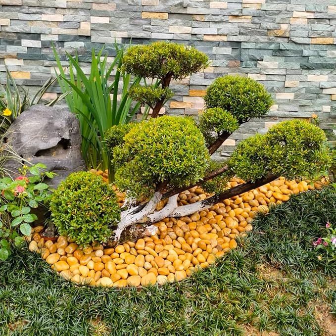 20lbs Yellow River Rocks for Landscaping, 1-2 Inch Natural Pebbles for Indoor Plants, High Polished Decorative Stones Vase Filler Fish Tank Aquariums Garden